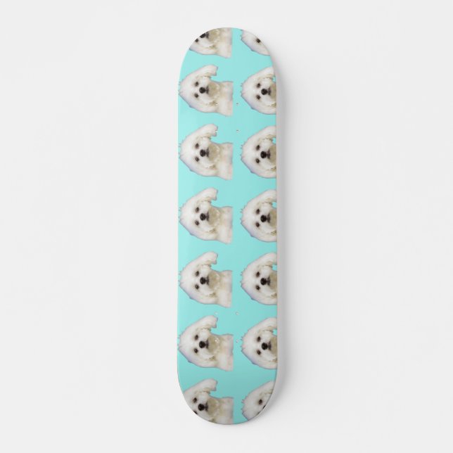Malteser Welpe Skateboard (Vorne)