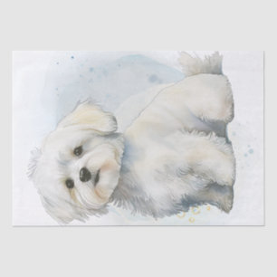 Malteser Welpenhund Seidenpapier