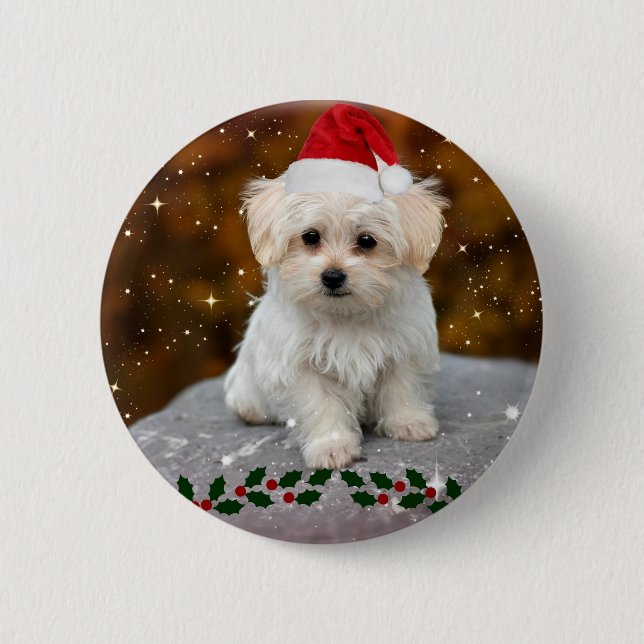 Malteser Welpenweihnachtsfest Button (Vorderseite)