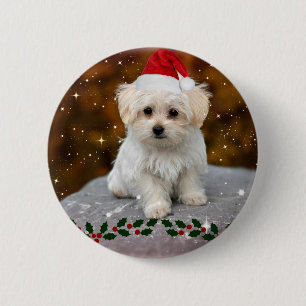 Malteser Welpenweihnachtsfest Button