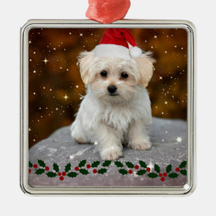 Malteser Welpenweihnachtsfest Silbernes Ornament