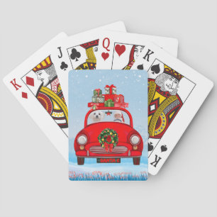 Malteserhund im Auto mit dem Weihnachtsmann Spielkarten
