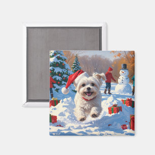 Malteserhund läuft im Schnee mit Weihnachtsmütze Magnet