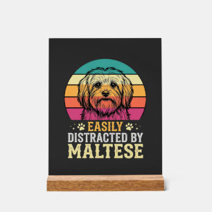 Malteserhund Retro-Sonnenuntergang abgelenkt Acrylschild