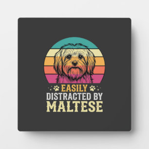 Malteserhund Retro-Sonnenuntergang abgelenkt Fotoplatte