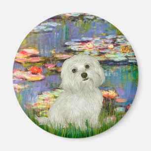 Maltesisch 11 - Lilien 2 Magnet