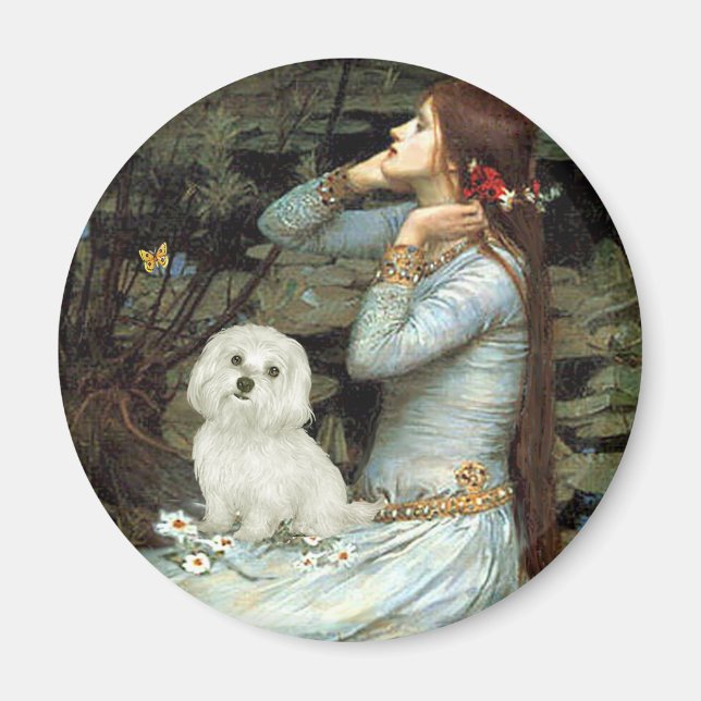 Maltesisch 11 - Ophelia Sitzplatz Magnet (Vorne)