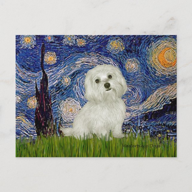 Maltesisch 11 - Starry Night Postkarte (Vorderseite)