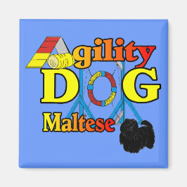 Maltesisch_Agility Geschenke Magnet