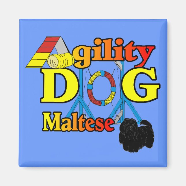 Maltesisch_Agility Geschenke Magnet (Vorne)