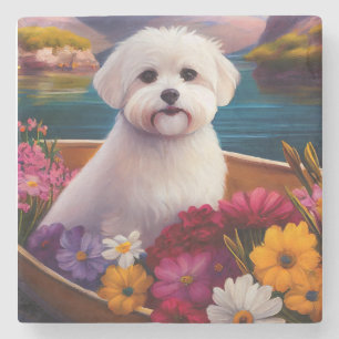 Maltesisch auf dem Paddle: Ein Landschaftliches Ab Steinuntersetzer