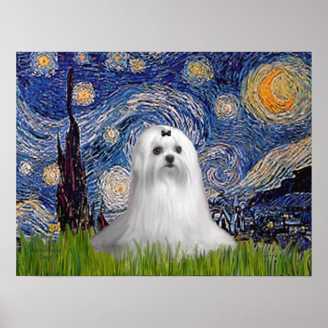 Maltesisch (C) - Starry Night Poster (Vorne)