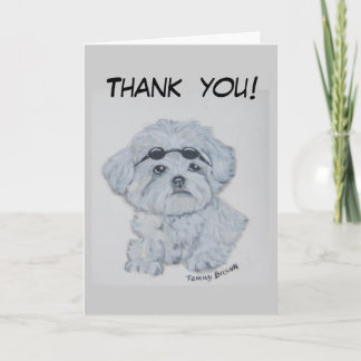 Maltesisch danke zu kardieren