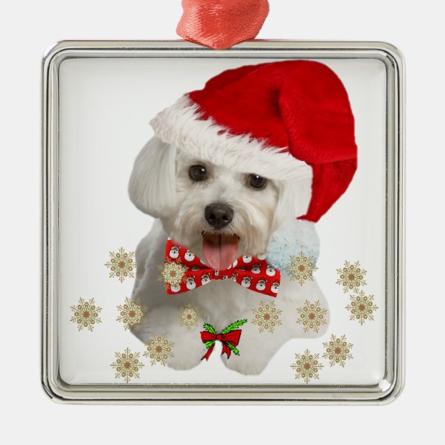 Maltesisch Frohe Weihnachtspenden Silbernes Ornament (Vorne)