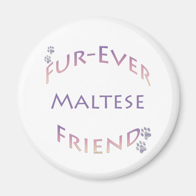 Maltesisch Furever Magnet (Vorne)