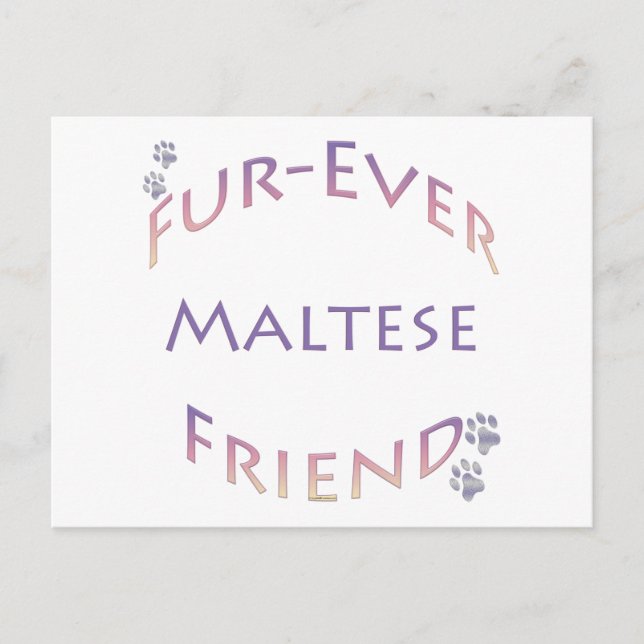 Maltesisch Furever Postkarte (Vorderseite)