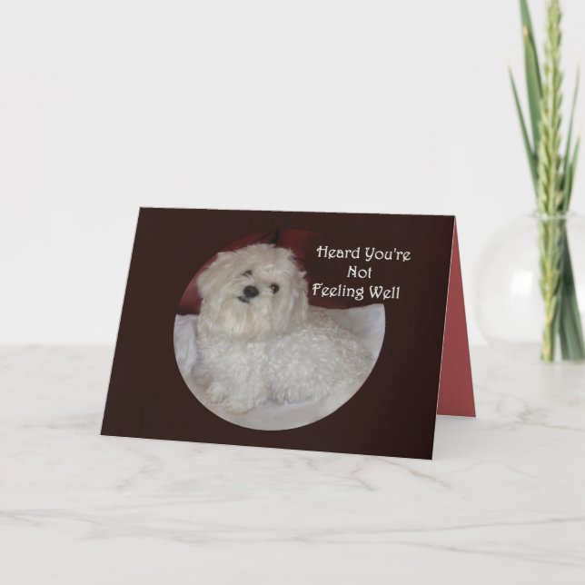 Maltesisch Get Well bald Card for Pet Lovers Karte (Vorderseite)