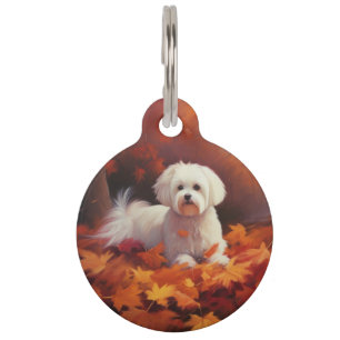 Maltesisch im Herbst Leaves Fall Inspiriert Haustiermarke