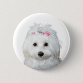 Maltesisch in White Adorable Puppy Wonder Button