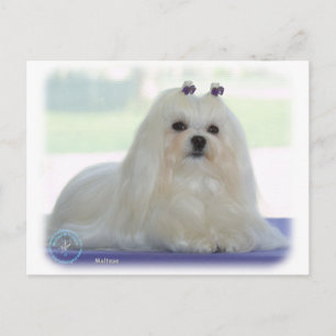 maltesisch postkarte