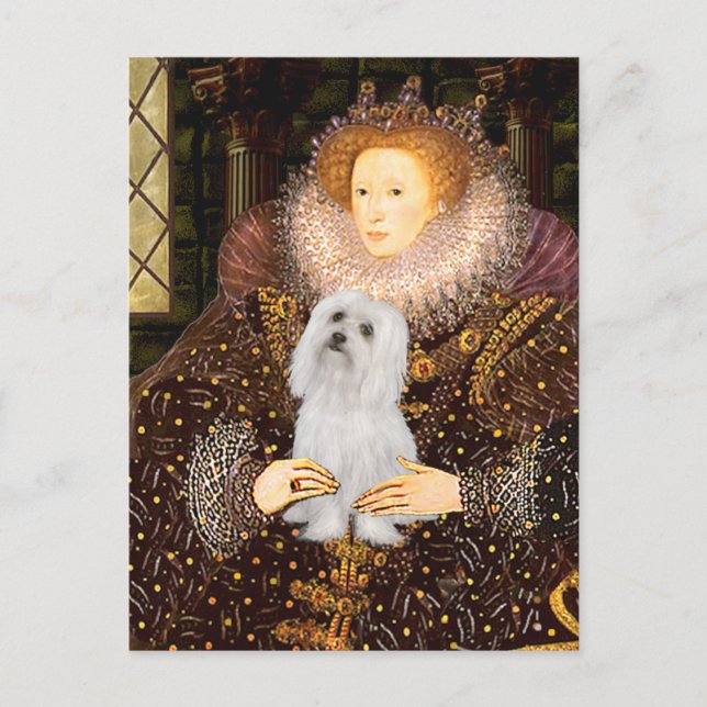 Maltesisch (SD) - Königin Postkarte (Vorderseite)