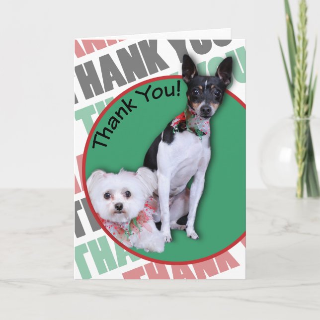 Maltesisch und Fox Terrier Vielen Dank Dankeskarte (Vorderseite)