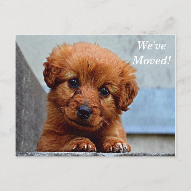 Maltesisch Wir haben eine neue Postkarte (Vorderseite)