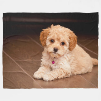 Maltesische Babypoodle-Mix oder Maltipoo-Welpenhun Fleecedecke