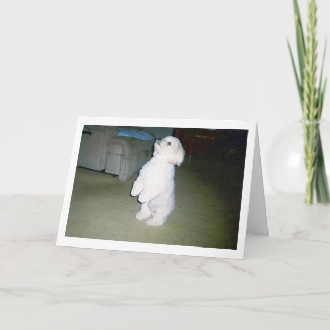 Maltesische glückliche der Vatertags-Karte Karte (Vorderseite)