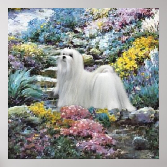 Maltesische Kunst, in der Liebe wächst Poster (Vorne)