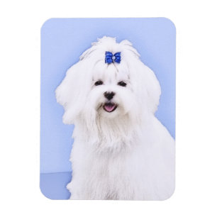 Maltesische Malerei - Niedliche Hundekunst Magnet