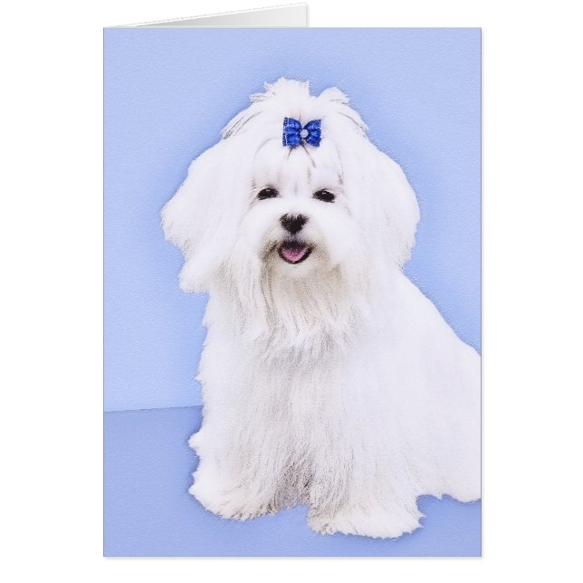 Maltesische Malerei - Niedliche Originalkunst des  (Vorne)