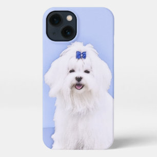 Maltesische Malerei - Niedliche Originalkunst des  iPhone 13 Hülle
