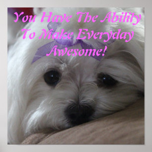 Maltesische Poster-Hund-Fähigkeit Poster