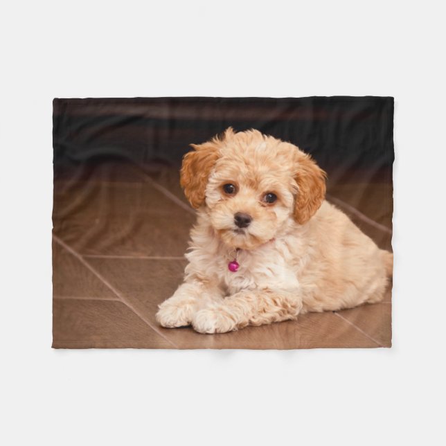 Maltesische Pudelmischung des Babys oder maltipoo Fleecedecke (Vorderseite (Horizontal))