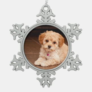 Maltesische Pudelmischung des Babys oder maltipoo Schneeflocken Zinn-Ornament