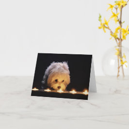 Maltesische Pup Blank Sympathy Card Karte