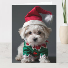 Maltesische Terrier Elf Welppy Christmas Card Karte