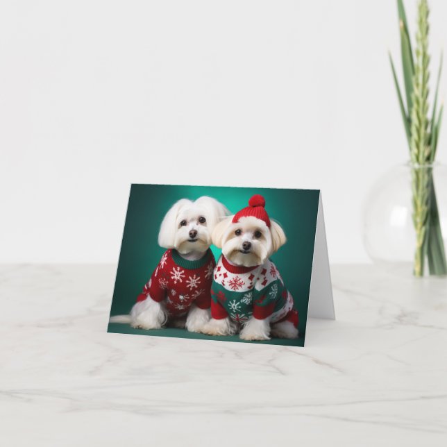 Maltesische Terrier Weihnachtskarte Karte (Vorderseite)