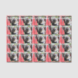 Maltesische Weihnachten mit Roten Bäumen Seidenpapier