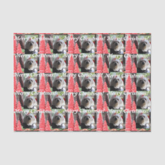 Maltesische Weihnachten mit Roten Bäumen Seidenpapier