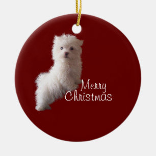 Maltesische Welpe Red Ornament