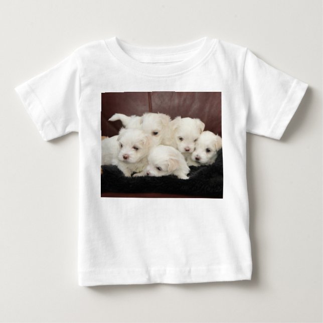 Maltesische Welpen - Fünf davon auf T - Shirt (Vorderseite)