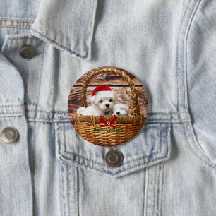 Maltesische Welpen in einem Weihnachtskorb Button