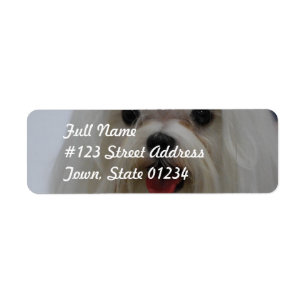 Maltesische Welppy-Mailing-Labels