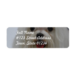Maltesische Welppy-Mailing-Labels