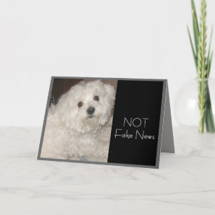 Maltesischer Geburtstags-Spaß für jedermann Karte