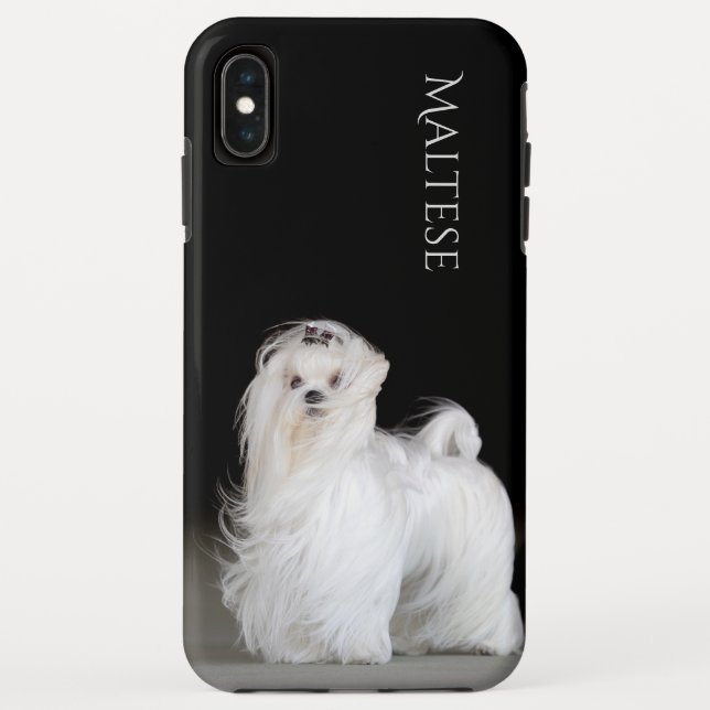 Maltesischer Hund Case-Mate iPhone Hülle (Rückseite)
