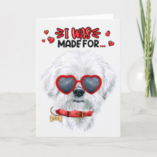 Maltesischer Hund, der für die Liebe zum Valentin Feiertagskarte