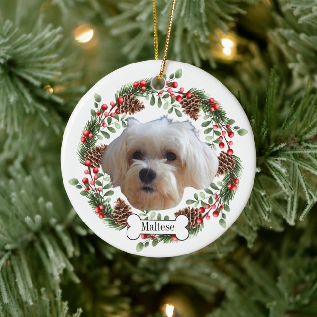 maltesischer Hund Keramik Ornament (Baum)